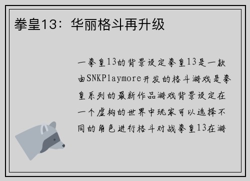 拳皇13：华丽格斗再升级